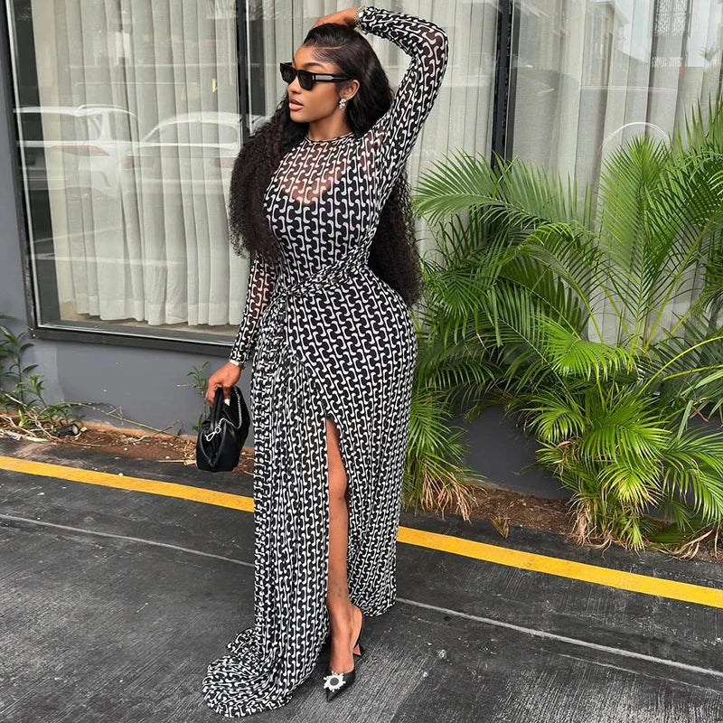 Vintage Print Mesh Long Sleeve Maxi Dress