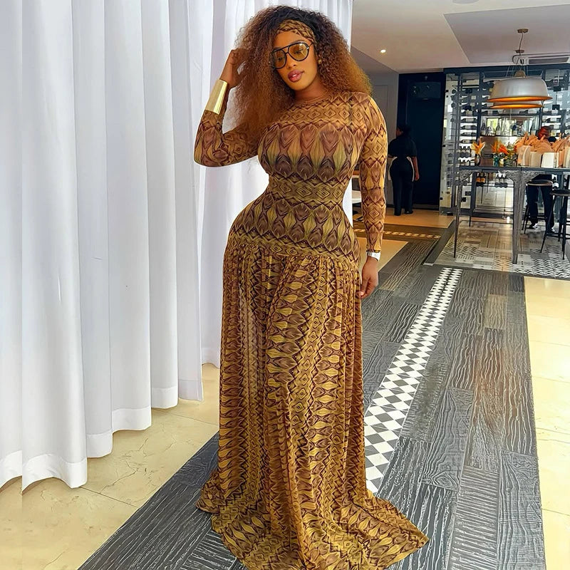 Vintage Print Mesh Long Sleeve Maxi Dress
