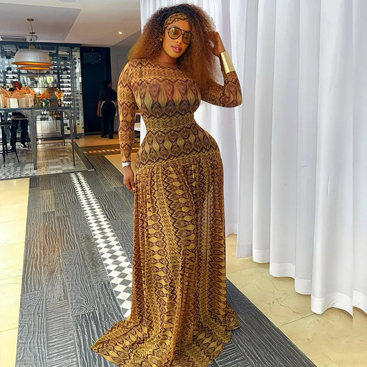 Vintage Print Mesh Long Sleeve Maxi Dress