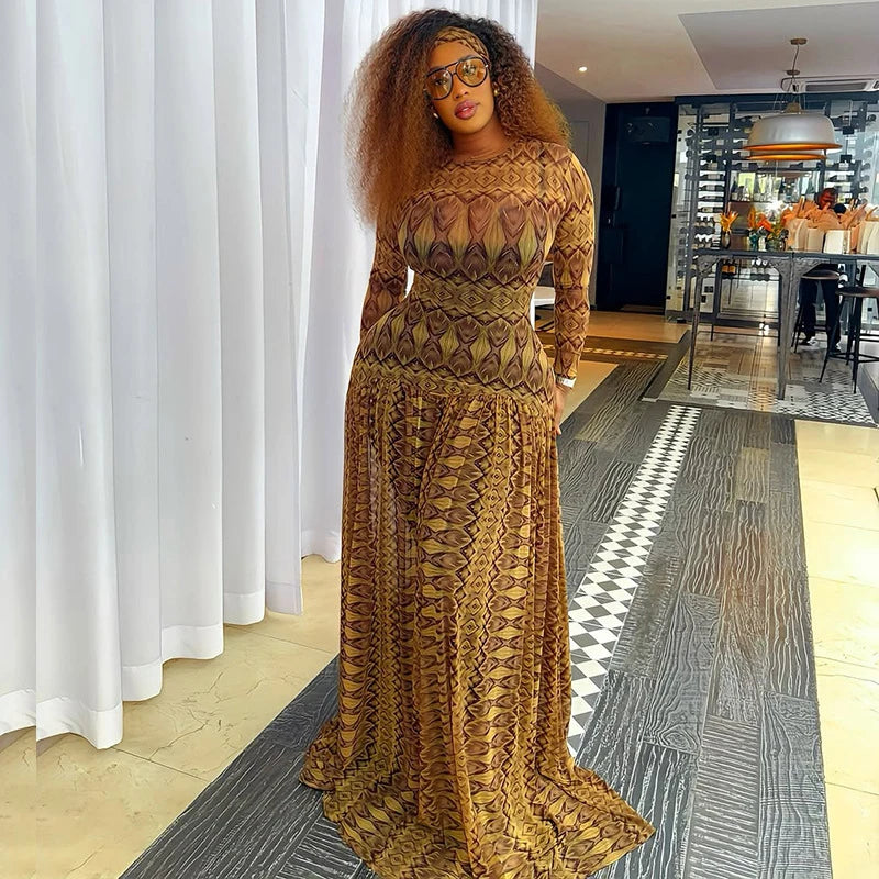 Vintage Print Mesh Long Sleeve Maxi Dress