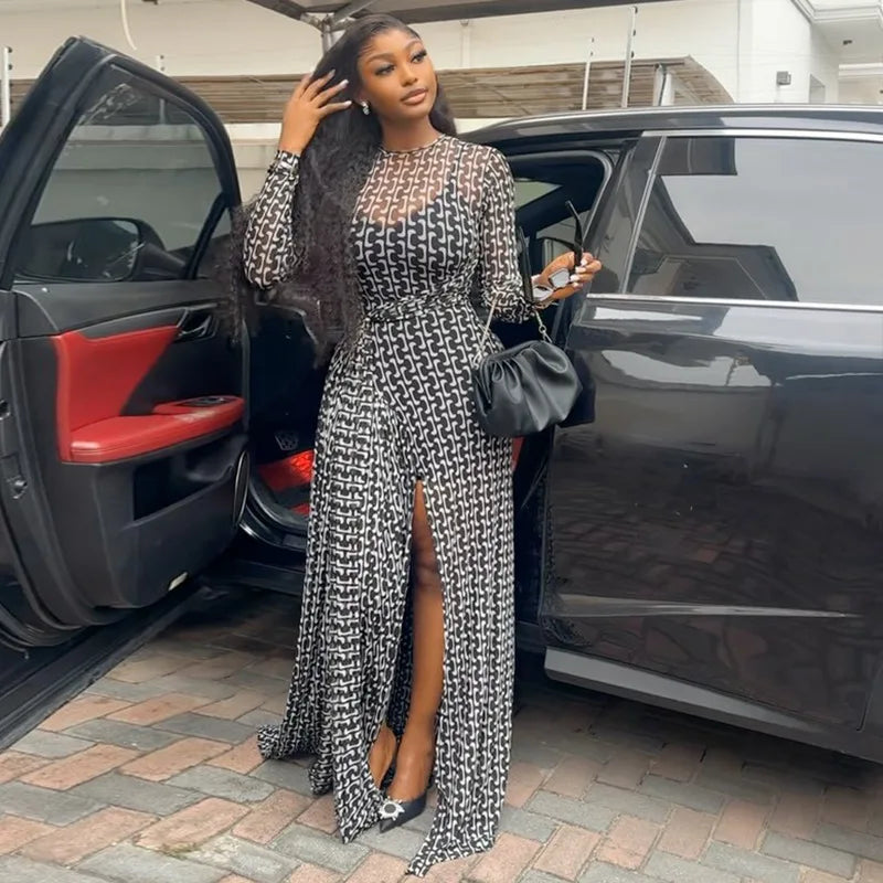 Vintage Print Mesh Long Sleeve Maxi Dress