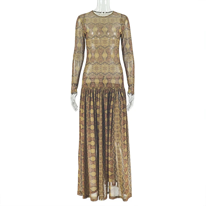 Vintage Print Mesh Long Sleeve Maxi Dress