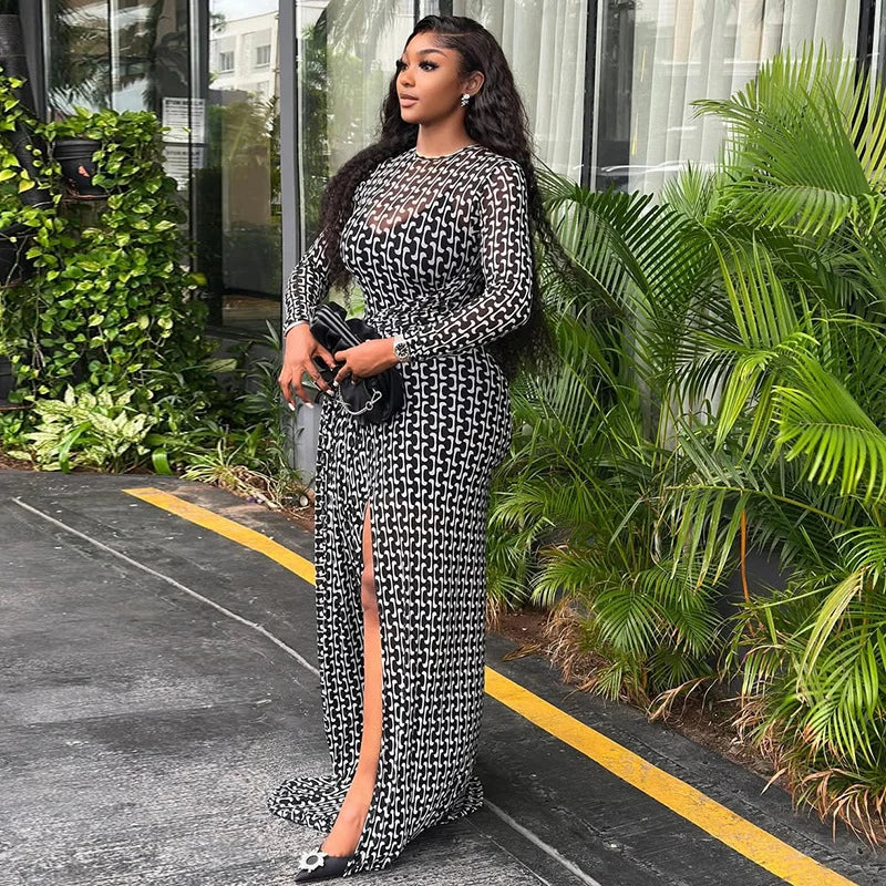 Vintage Print Mesh Long Sleeve Maxi Dress